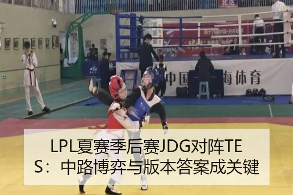 LPL夏赛季后赛JDG对阵TES：中路博弈与版本答案成关键